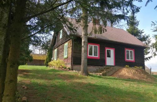 Domek na wsi Wiejsko Czarodziejsko - Agroturystyka Podlasie - Foto 77