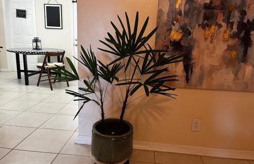 House Close to Downtown, Airport, Raymond James Stadium, and Many More Places - Foto 10