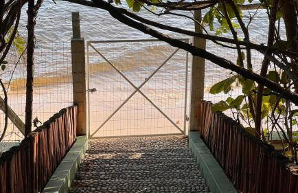 Chácara Adelly - Foto 10