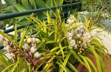 Vista do Mar - Foto 39