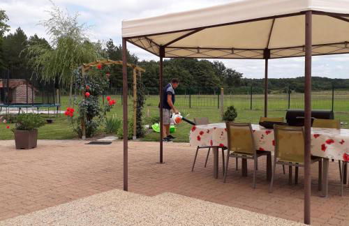 Gîte les petits loups - Photo 11