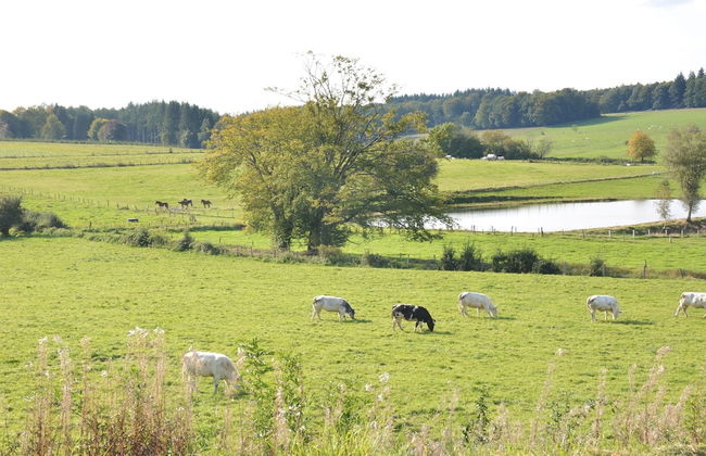 Villa With Hottub in Calm Area - Foto 45