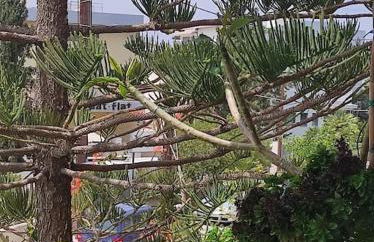 Annitas luxury oasis appartment - Foto 49