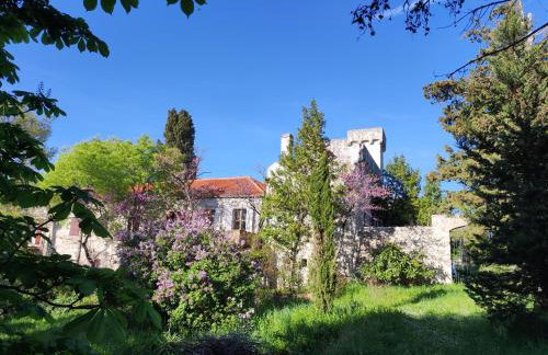 Jankovich Castle - Photo 19