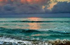 La Conchiglia sul Mare - Foto 59