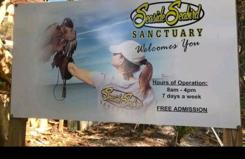 Beach Condo - Photo 70