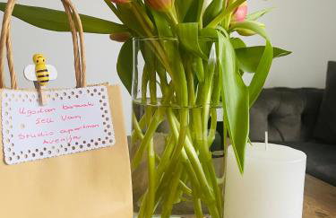 Studio apartman Avenija *** - Photo 1