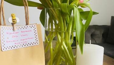 Studio apartman Avenija *** - Foto 1