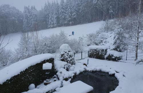 Ferienwohnung Schwalbennest - Foto 76
