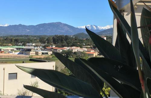VUE MAGNIFIQUE SUR BAIE AJACCIO - Foto 31