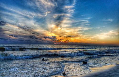 Tortuga Tillys - Foto 45