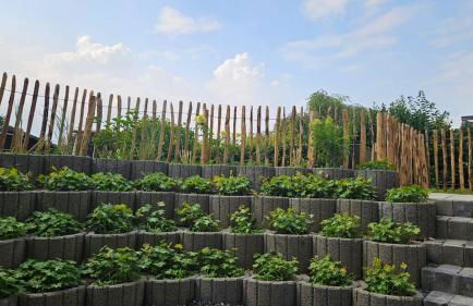 Schöne große Ferienwohnung in Bedburg-Hau - Foto 15