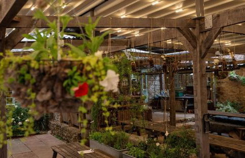 High Paradise Farm - Foto 10