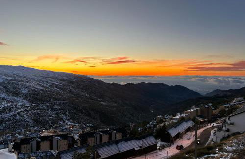 Biznaga Nevada - Foto 53