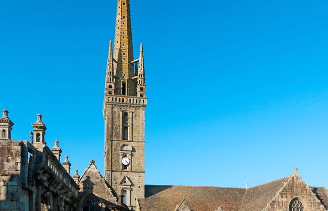 Blaue Hortensie - Foto 29