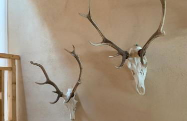 Ferienhaus Forsthaus am Feuerbach - Foto 17