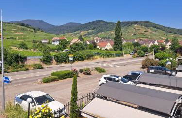 Chez Florence Ammerschwihr - Foto 23