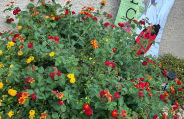 Amazing Grace Vacation Home - Foto 35