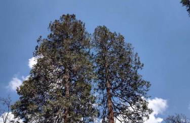 O'Brien's Oasis - Foto 21