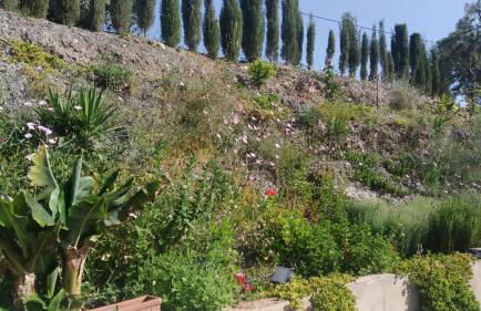 LOFT RURAL MOLINILLO - Foto 8