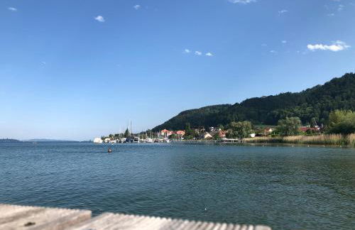 Ferienwohnung Haid Bodensee, Umgebung Bodman-Ludwigshafen, Radolfzell, Überlingen, Luxus FeWo Haid - Foto 2