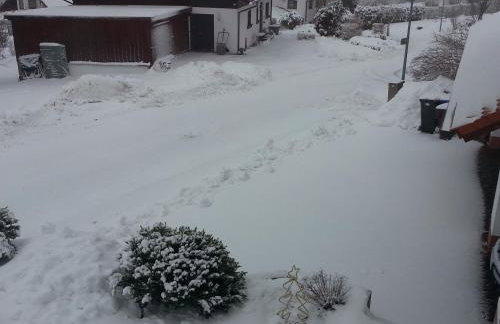 Mayntz' Albjuwel - Foto 8