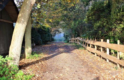 Ruhe unter Reet-Haus mit Sauna, Whirlpool und Kamin - Foto 17