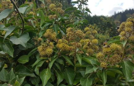 Superior - Ferienhaus am Engelsbach im Thüringer Wald - Photo 54