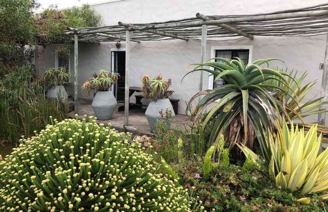 Elangeni Driftwood - Foto 9