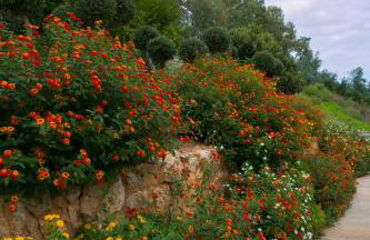 Physis Villas Chania - Foto 142