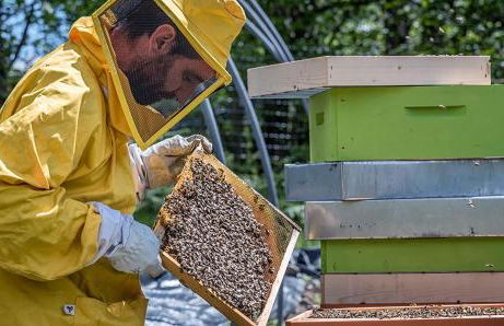 Agriturismo La Fonte di Mariella - Foto 89