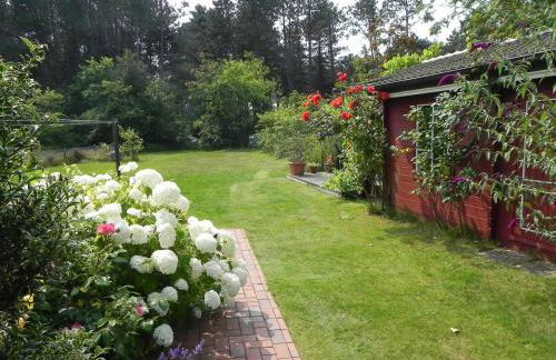 Haus *Üüs Aran* Wohnung Nr. 3 - Photo 5