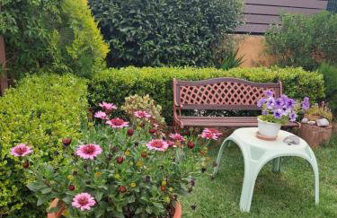 Mozart House Studio - Foto 29