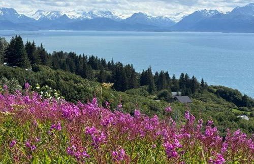 Apartment, walkout basement, Central Homer, Views! - Foto 26