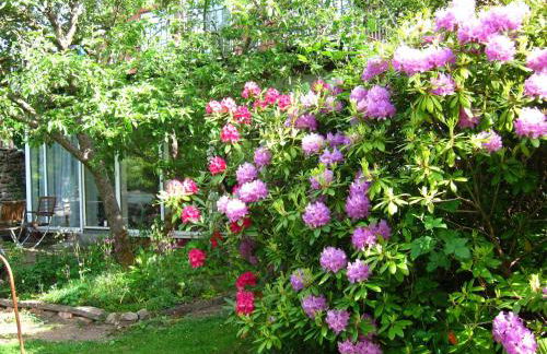 Ferienwohnung Erlkron - Foto 13