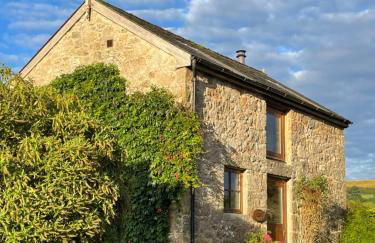 Widecombe Cottage - Foto 32