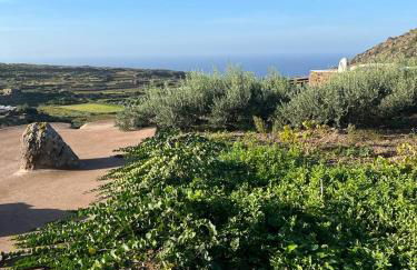Dammusi IL SERRALH -Pantelleria- - Foto 36
