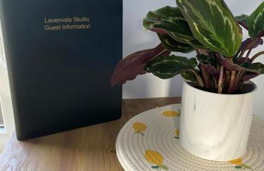 Levenvale Studio - Foto 12