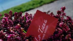 lo Tsanty casa vacanza - Foto 2