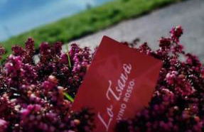 lo Tsanty casa vacanza - Foto 2