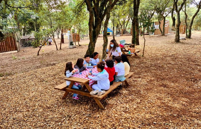 Natura Fun House & Camping - Foto 24