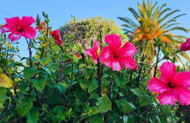 Villa Nuralux - Vistas Espectaculares, Piscina Privada y BBQ - Foto 10