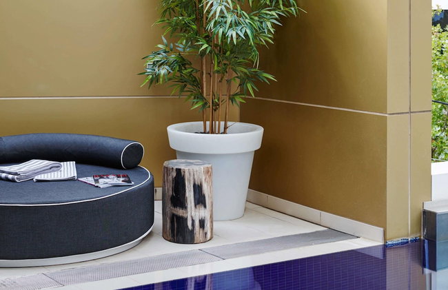 The Olsen Melbourne - Art Series - Foto 80