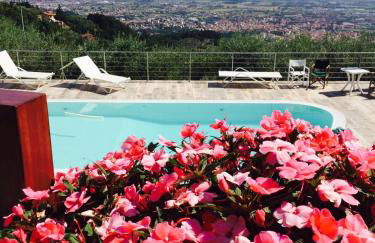 Villa l'Uliveta - Foto 16