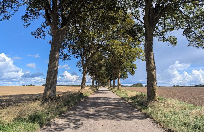 Seaside Charm in Boged-by Traum - Foto 9