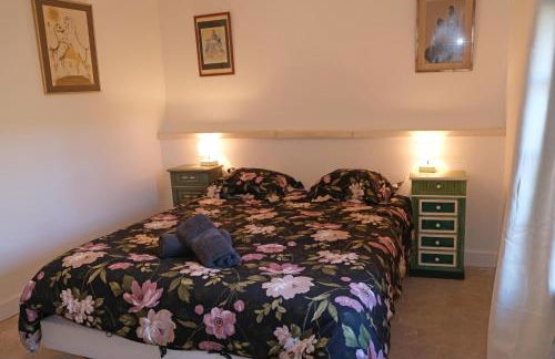 typical mas provençal with swimming pool in a small hamlet near mouriès in the alpilles in provence- 8 persons - Foto 23