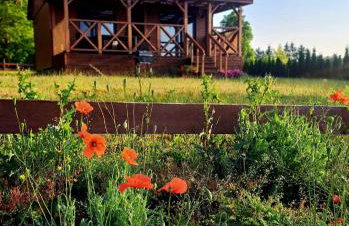 Domki Na Wzgórzu - domek nr 1 - Foto 1