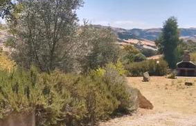 Ianus B&B - Photo 42