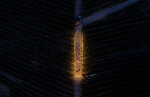 Palagina la cascina - Photo 62