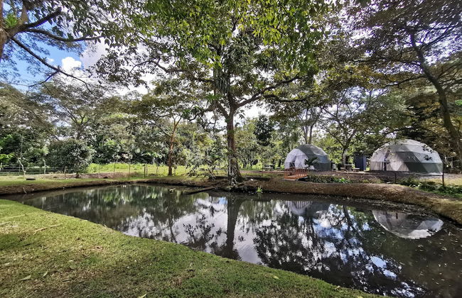 Domo Geodésico 01 - Foto 1